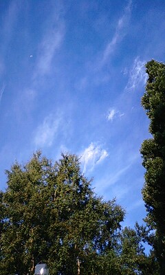 110821_0552~0001.jpg