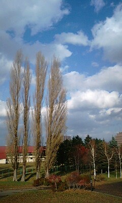 111124_1140~0002.jpg
