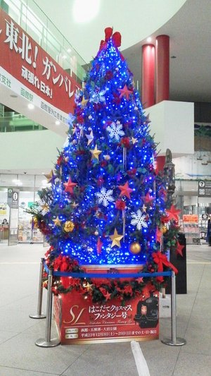 20111127-03.jpg