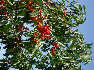 20070716-00.JPG
