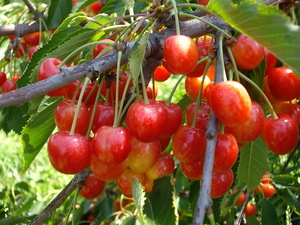 20070716-02.JPG