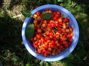 20070716-03.JPG