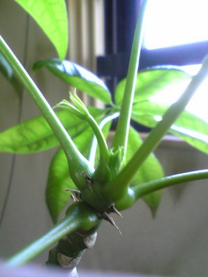 20070814-00.jpg