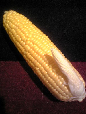 20070825-00.jpg