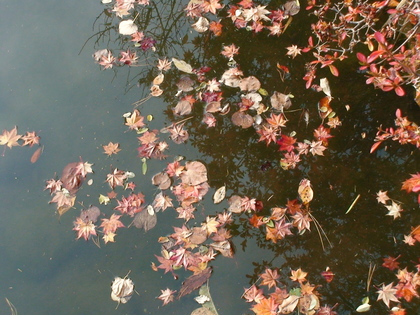 20071029-02.JPG