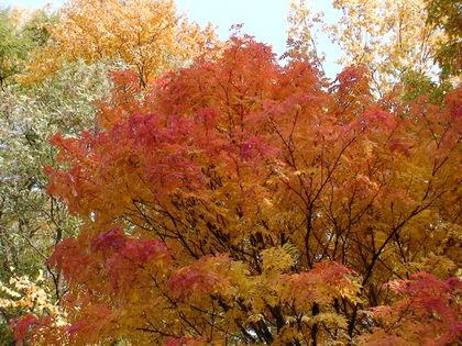 20071030-00.JPG