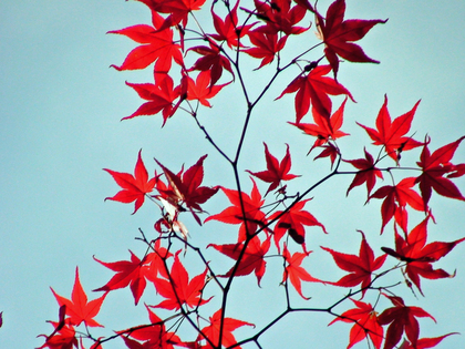 20071030-01.JPG