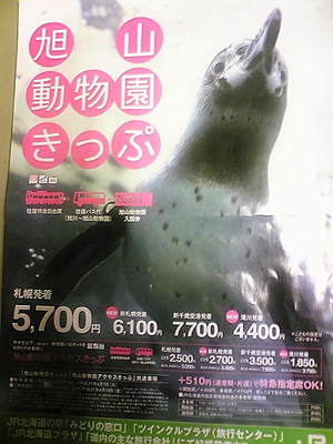 20080417-01.jpg
