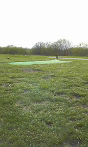 20080420-04.jpg