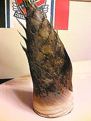 20080502-00.jpg