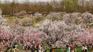 20080504-01.JPG