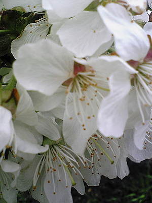 20080506-00.jpg