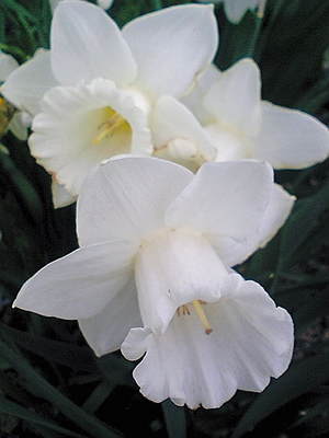 20080506-02.jpg
