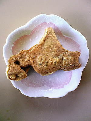 20080517-02.jpg