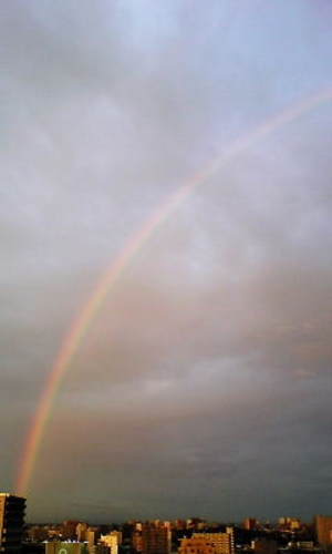 20080624-03.jpg