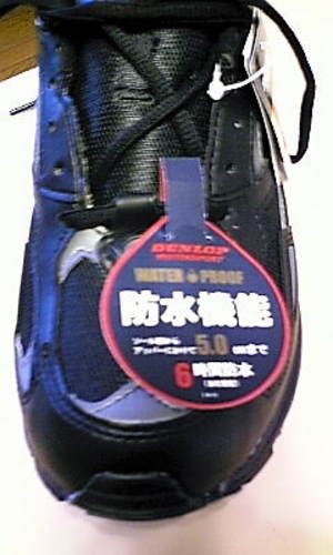 20080704-01.jpg