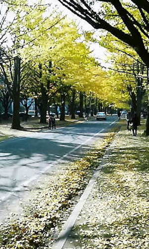 20081106-00.jpg