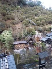部屋からの朝の風景
