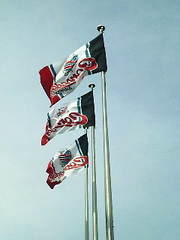 20090404-02.jpg