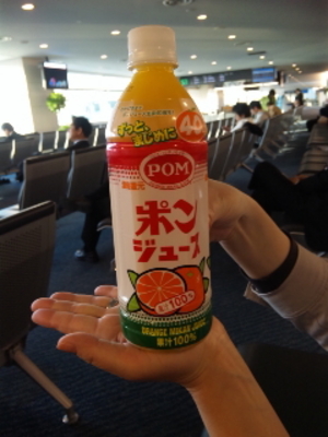 愛媛は羽田で足止めだ～