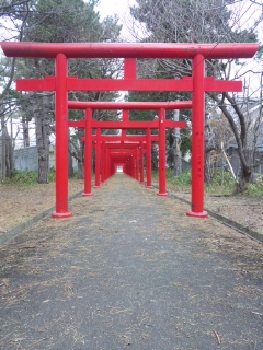 100410_120538.jpg