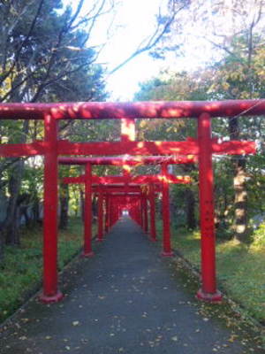 いつもの神社