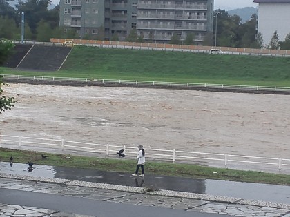 豊平川