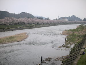 20070505-00.JPG