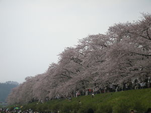 20070505-01.JPG