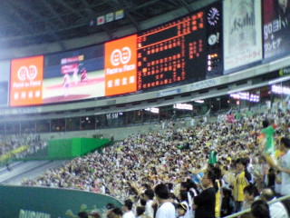 NEC_0502.jpg