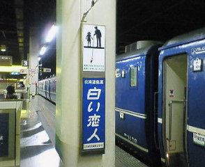 NEC_0770.jpg