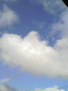 20071020115549.jpg