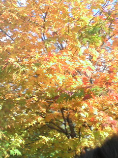 20071022143911.jpg