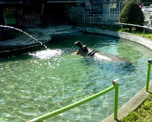 20070504-00.JPG