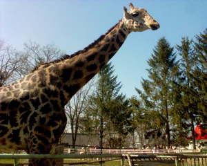 20070504-01.JPG
