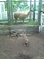 20070924-01.jpg