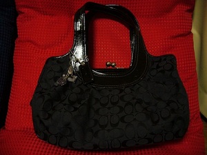 20110114-00.JPG