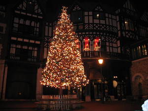 20051223-02.JPG