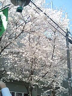070330_1327~0001.jpg