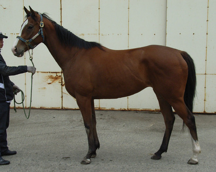20071215-00.jpg