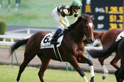 ドリームストライドデビュー戦