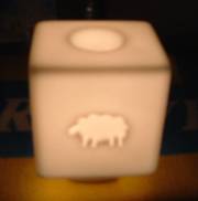 20080128-04.jpg
