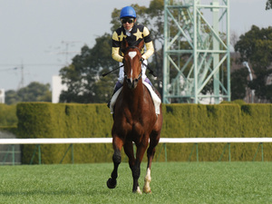 20080402-00.jpg