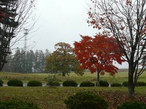 20081026-09.jpg