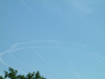 20081029-00.JPG