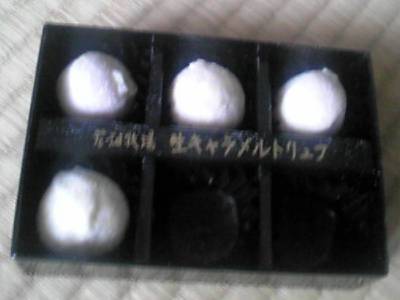 20090115-06.jpg