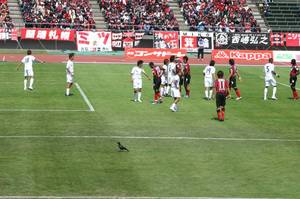 20090614-00.jpg