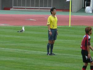 20090728-01.jpg