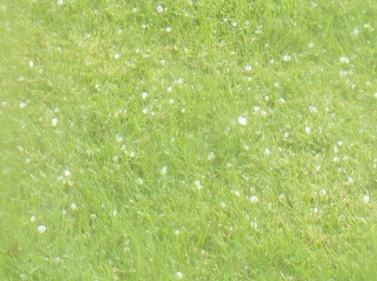 20091021-01.jpg