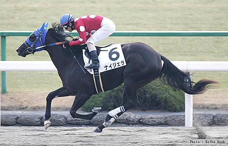 20091121-02.jpg